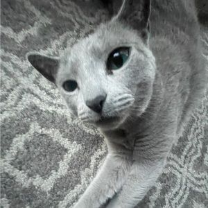 Meet your Posher, Alison